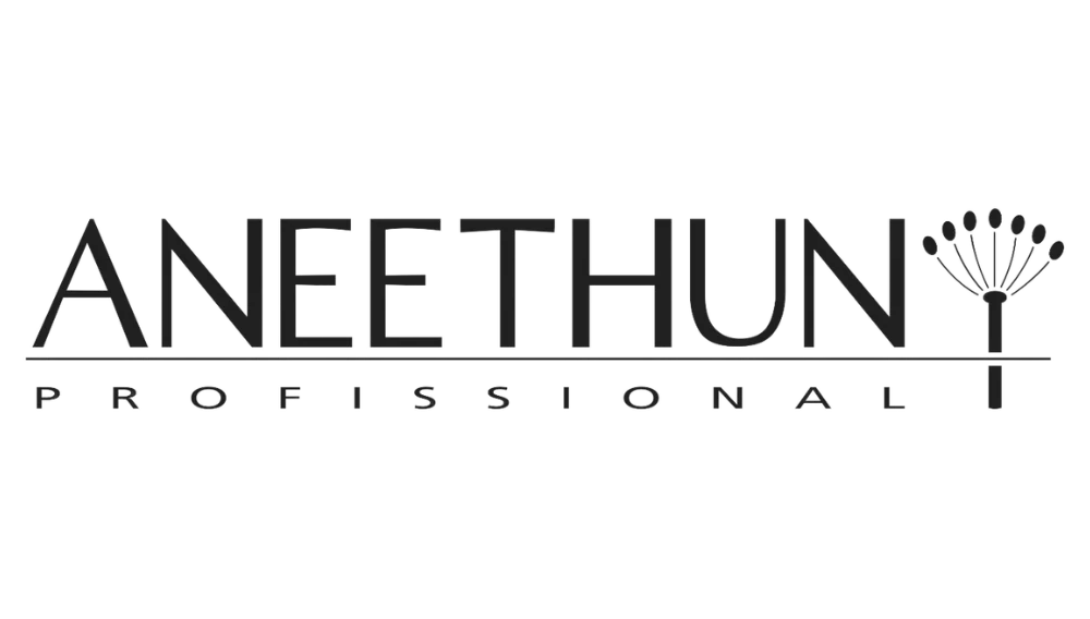 Logotipo Aneethun, cliente atendido por Rafaela Scalon Marketing