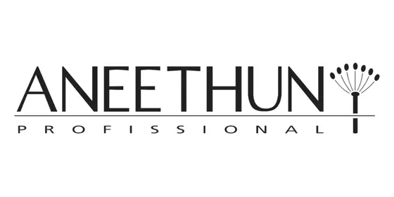 Logotipo Aneethun, cliente atendido por Rafaela Scalon Marketing